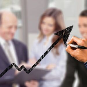 optimización rentas